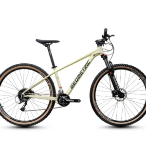 Geometric Caliber 9 Mountain Bike 2x9s (15.5" & 17") 29er